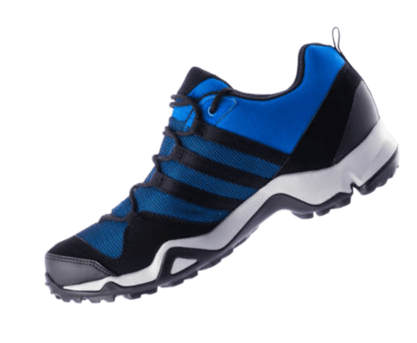 shoe